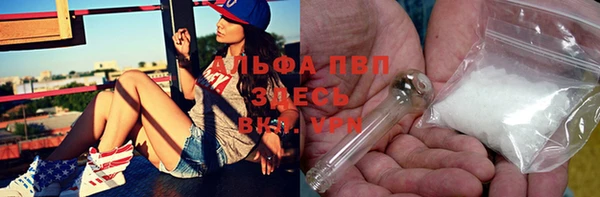 индика Верхний Тагил