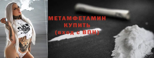 индика Верхний Тагил