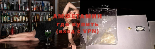 стаф Верея