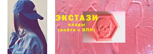 индика Верхний Тагил