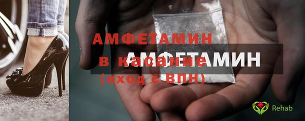стаф Верея