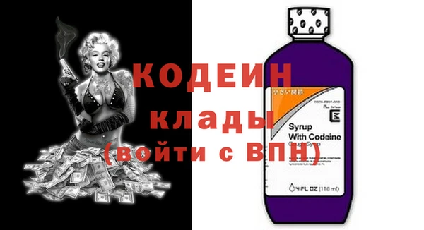 индика Верхний Тагил