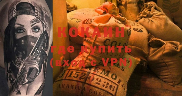 стаф Верея