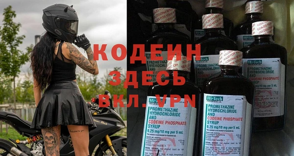 индика Верхний Тагил