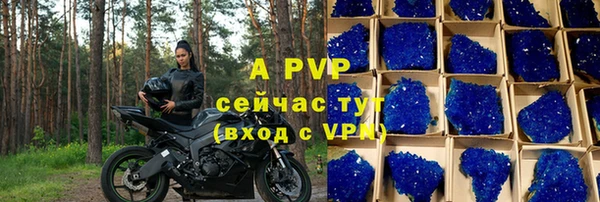 индика Верхний Тагил