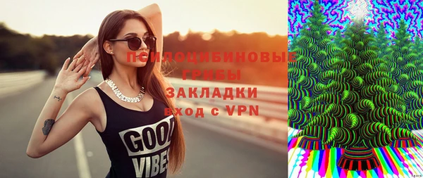 индика Верхний Тагил