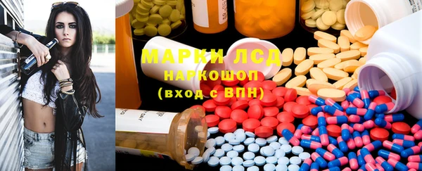 стаф Верея