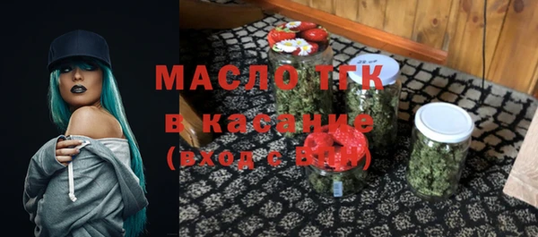 индика Верхний Тагил