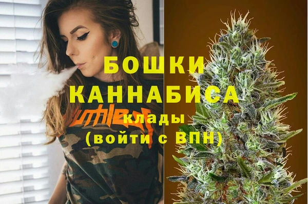индика Верхний Тагил
