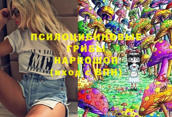 индика Верхний Тагил