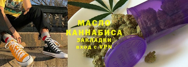индика Верхний Тагил