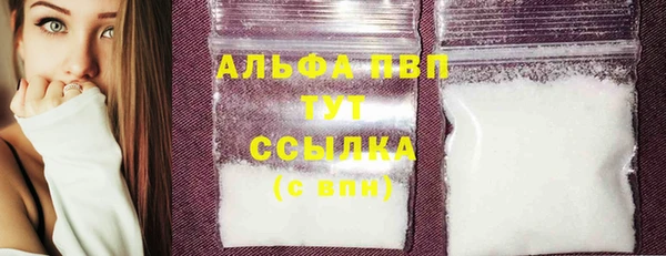 индика Верхний Тагил