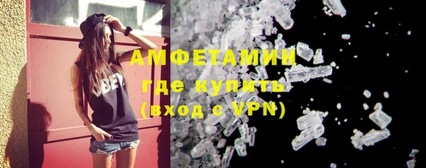 индика Верхний Тагил