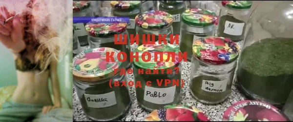 индика Верхний Тагил