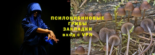 стаф Верея
