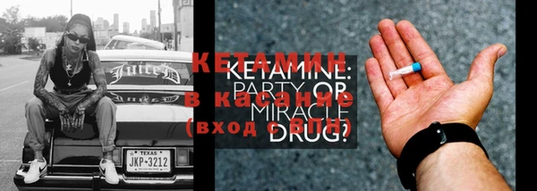 стаф Верея