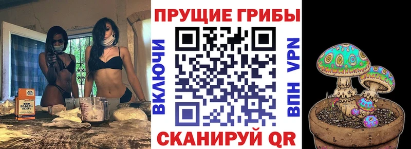 Псилоцибиновые грибы GOLDEN TEACHER Макарьев